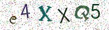 e4XXQ5