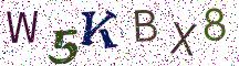 W5KBX8