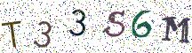 T33S6M