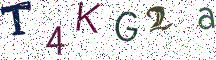 T4KG2a