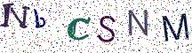 NbCSNM