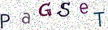 PaGSeT