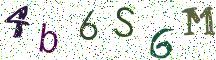 4b6S6M