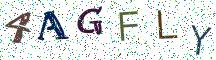 4AGFLY