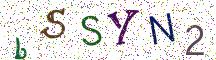 bSSYN2