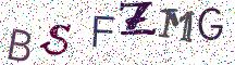 BSFZMG