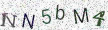 NN5bM4