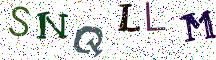 SNQLLM