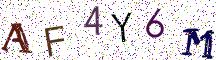 AF4Y6M