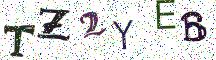 TZ2YEB