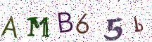 AMB65b