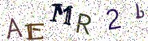 AEMR2b