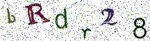 bRdr28