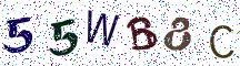 55WB8C