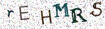 rEHMRS