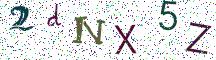 2dNX5Z
