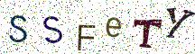SSFeTY