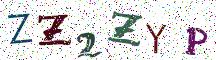 ZZ2ZYP