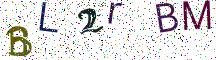 BL2rBM