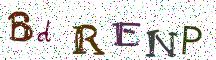 BdRENP