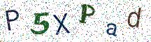 P5XPad
