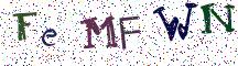 FeMFWN
