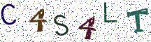 C4S4LT