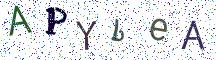 APYbeA