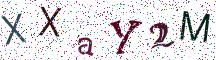 XXaY2M