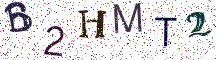 B2HMT2