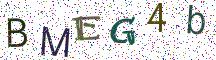 BMEG4b