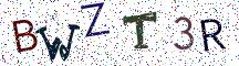 BWZT3R