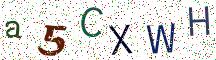 a5CXWH