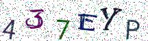 437EYP