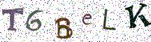 T6BeLK