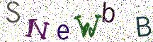 SNeWbB
