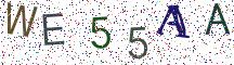 WE55AA