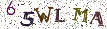 65WLMA