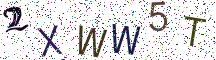 2XWW5T