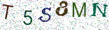 T5S8MN