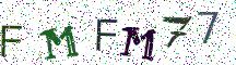 FMFM77