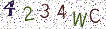 4234WC