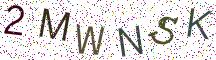 2MWNSK