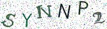SYNNP2
