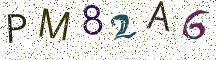 PM82A6