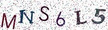 MNS6L5