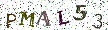 PMAL53