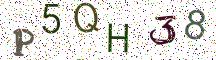 P5QH38