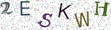 2ESKWH