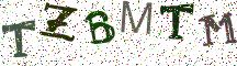 TZBMTM